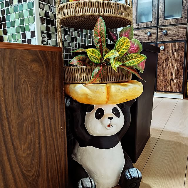 umeboshicyanさんの部屋