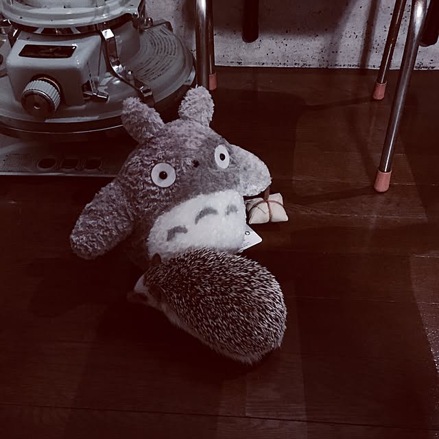 saokoさんの実例写真