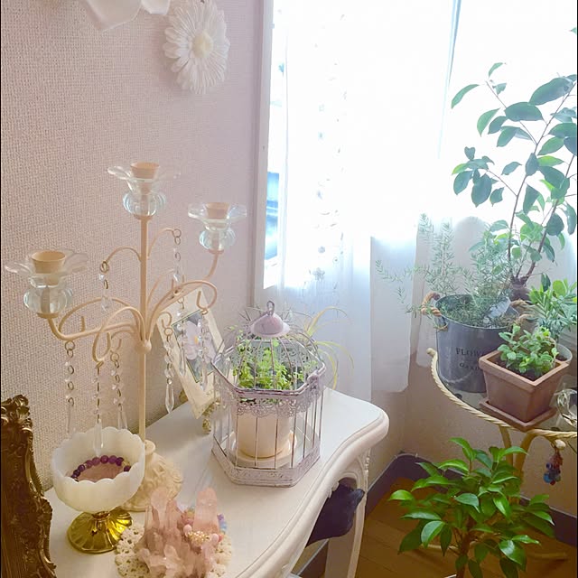 NOAさんの実例写真