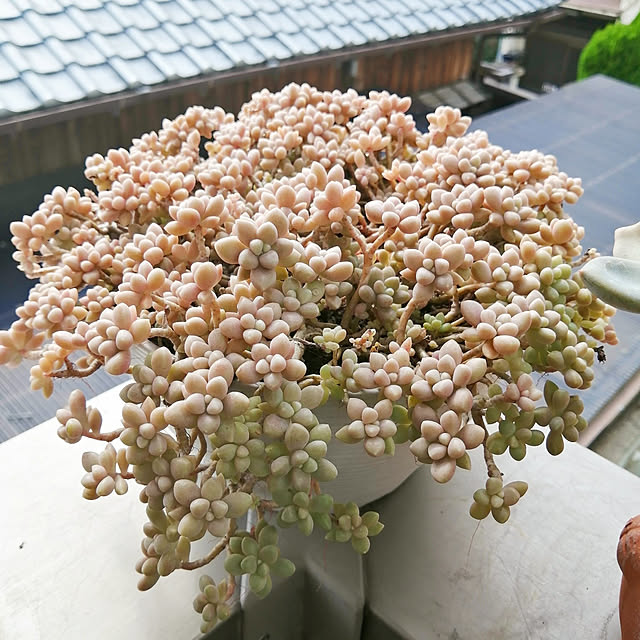 VERANDARJUNさんの実例写真
