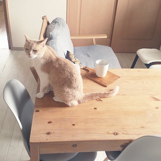 GINAさんの実例写真