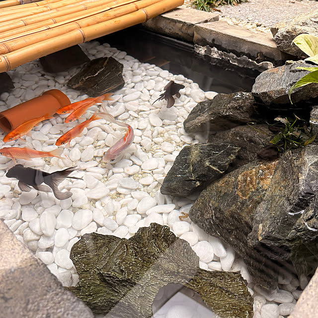 Yujiさんの実例写真