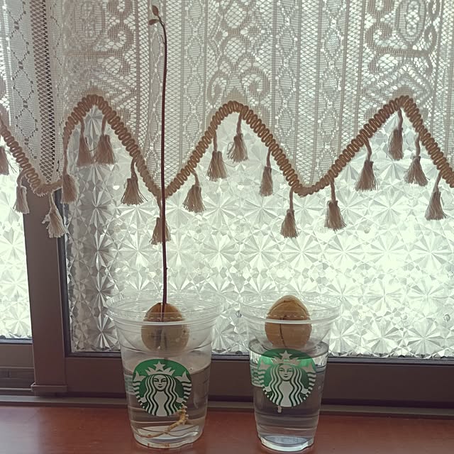 kana_ciiさんの実例写真