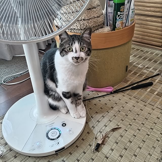 yuuさんの部屋
