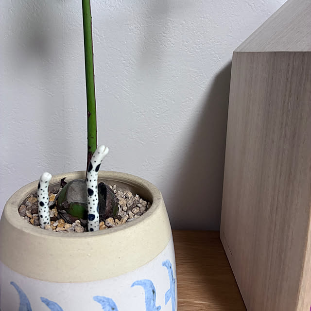 sakiさんの部屋