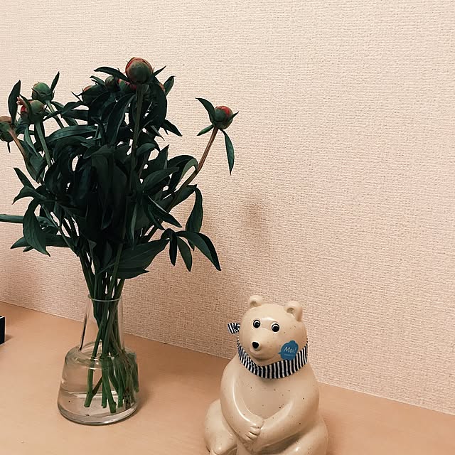 coroさんの実例写真