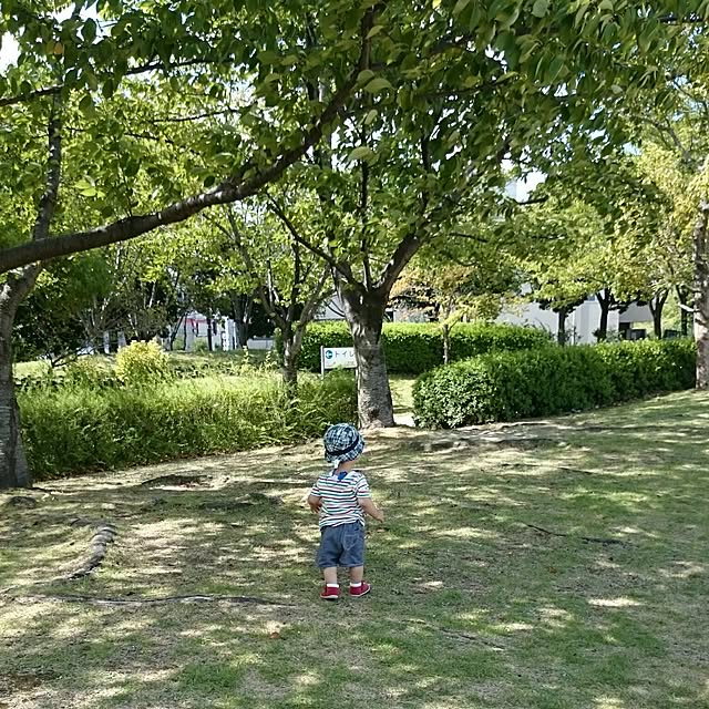 chicchiさんの実例写真