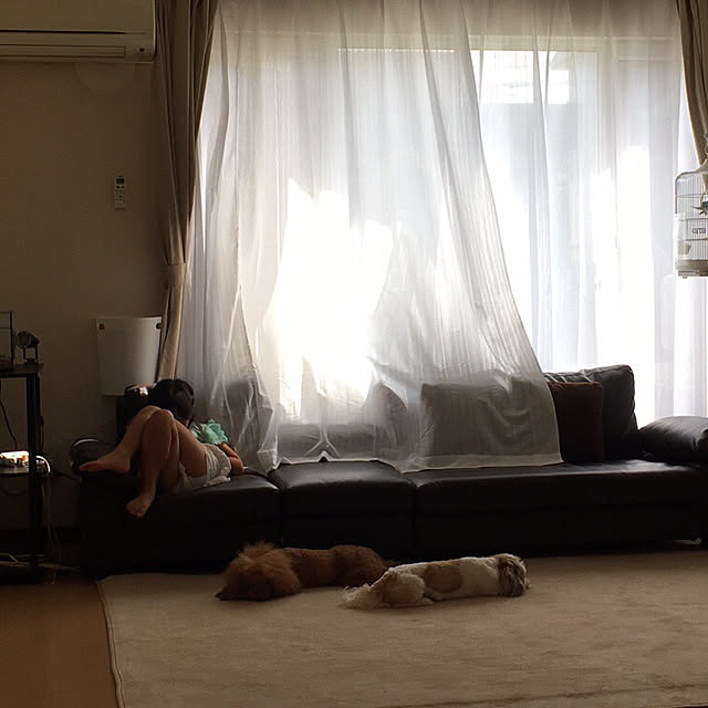 my_homeさんの実例写真