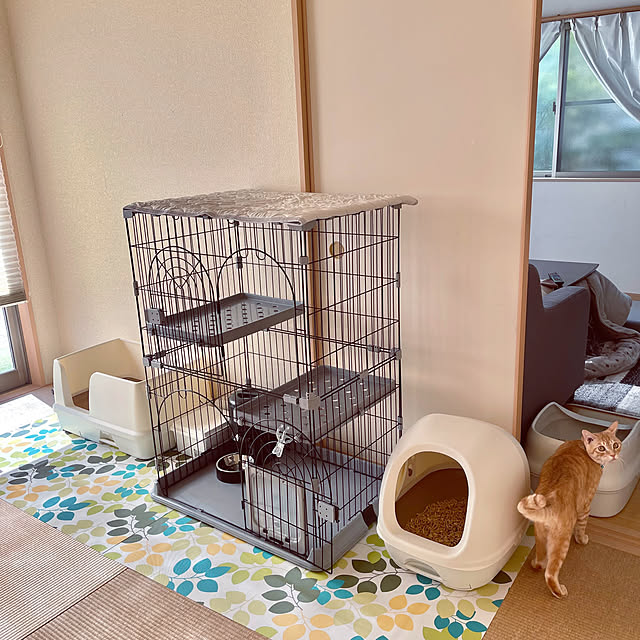 chiiさんの部屋
