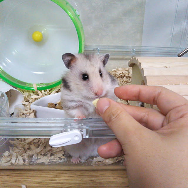 yukieさんの実例写真