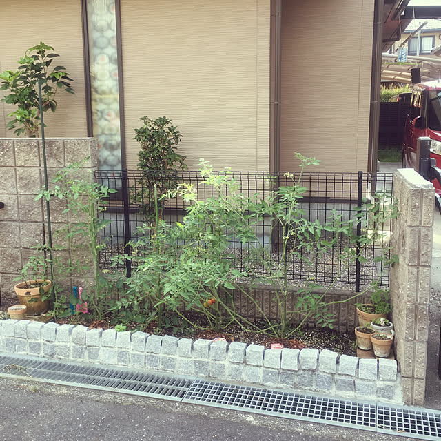 maffy32さんの実例写真