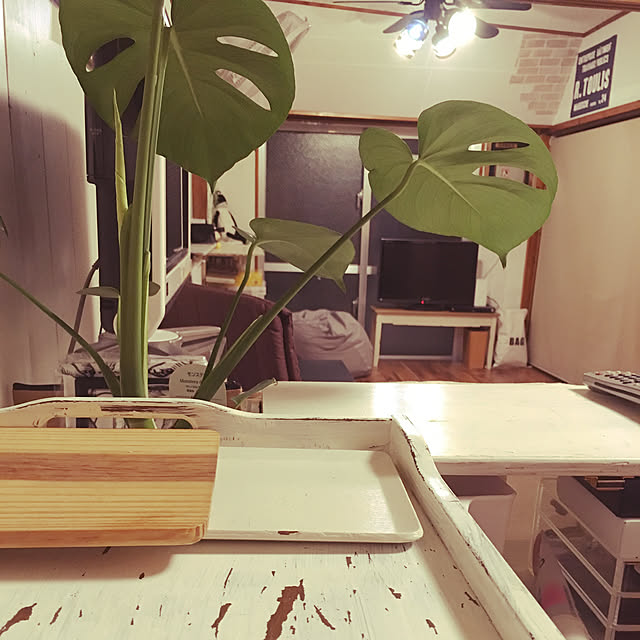Mc_iekoさんの実例写真