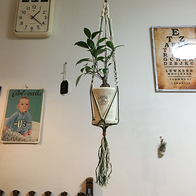 tetra163さんの実例写真