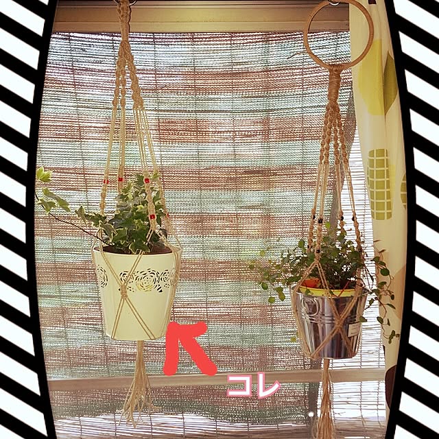 natchさんの実例写真