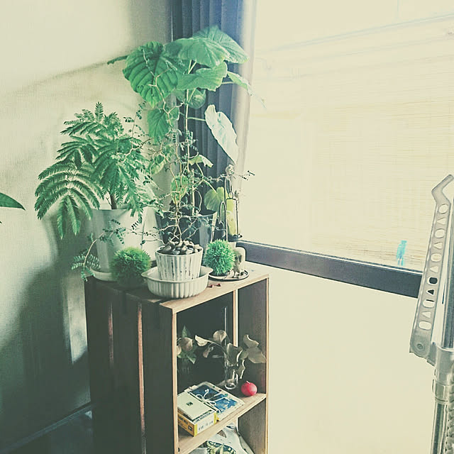 s.p.sunaoさんの実例写真