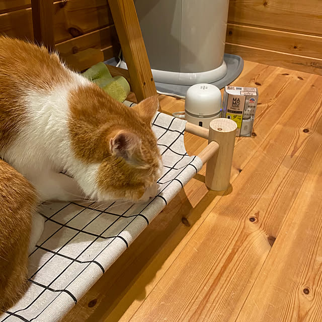 senbei.sakuramochiさんの部屋