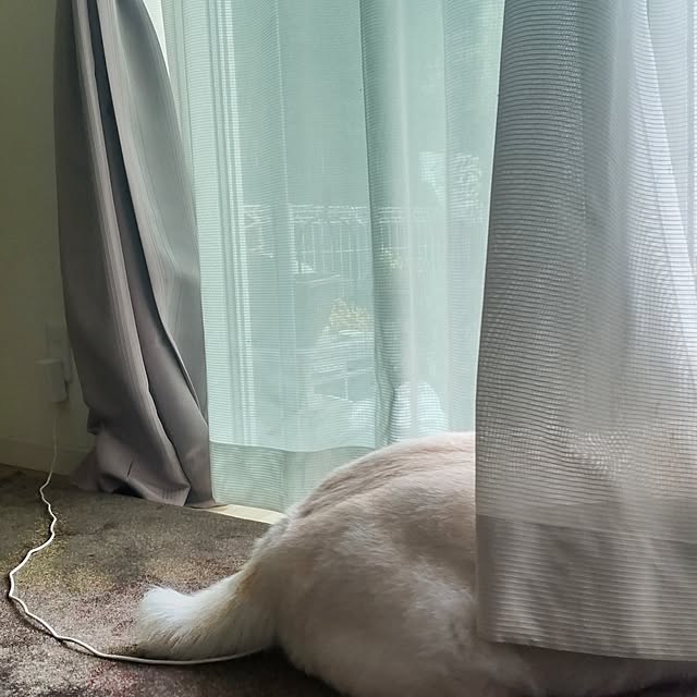 yukinkoさんの実例写真