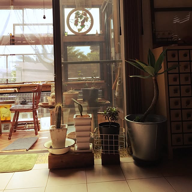 Risaさんの実例写真