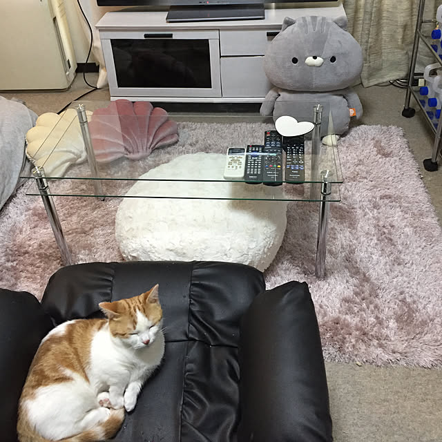annaさんの実例写真