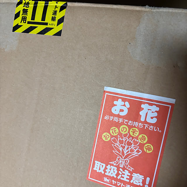 syutmmさんの部屋
