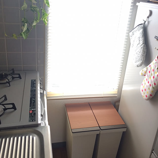 Hanaさんの実例写真
