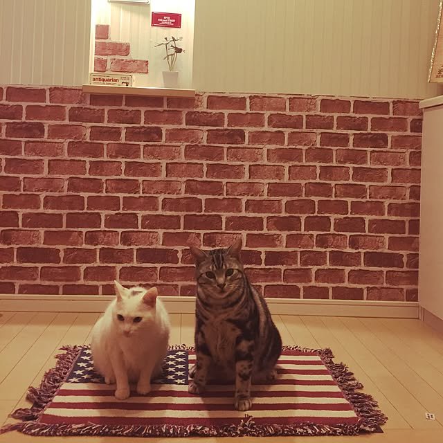 hiro_mashさんの実例写真