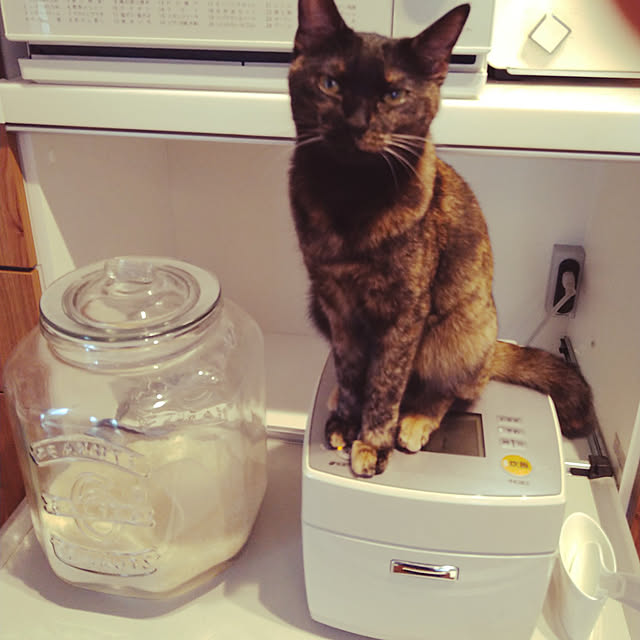 mamekoさんの実例写真