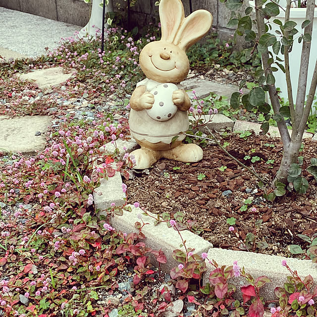 chIoeさんの実例写真