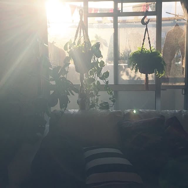 wukamさんの実例写真