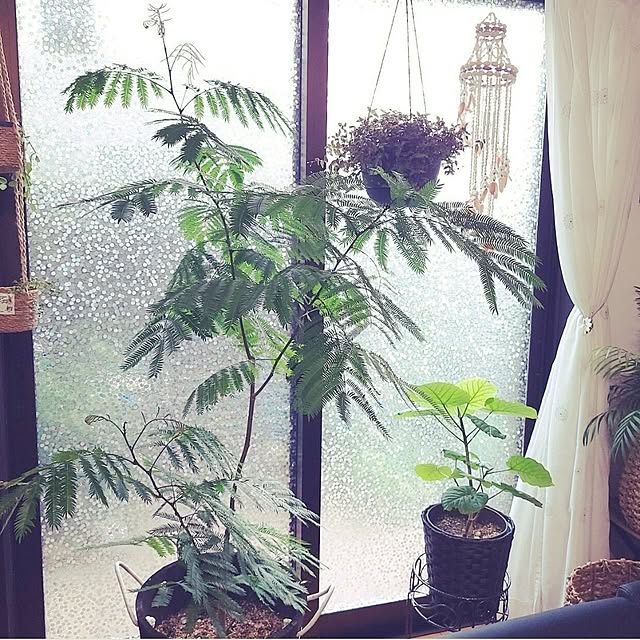 mimi828さんの実例写真