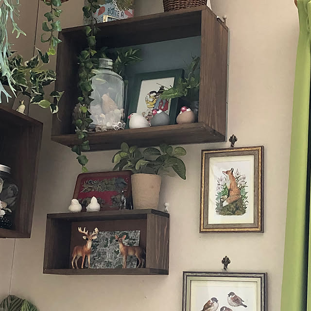 junbuさんの部屋