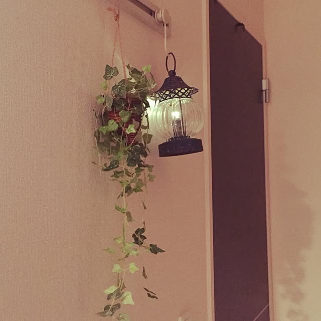 Rieさんの実例写真