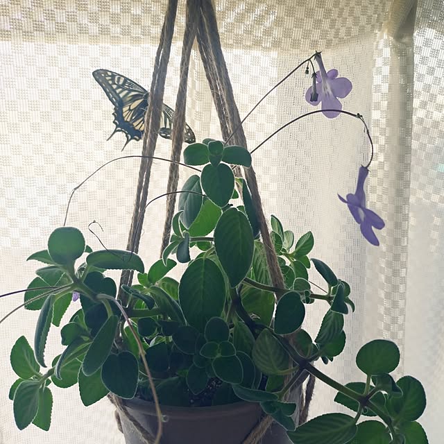 NOAHさんの実例写真