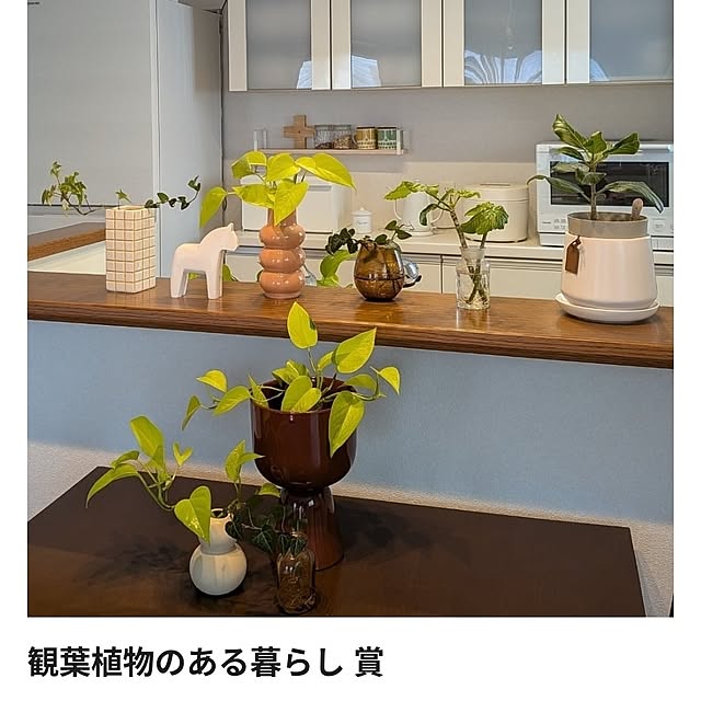 tan5さんのお部屋の写真