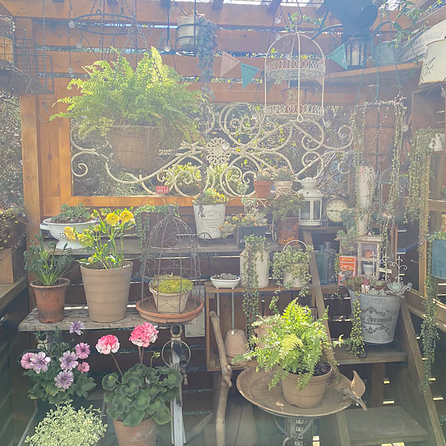 mintteaさんの部屋