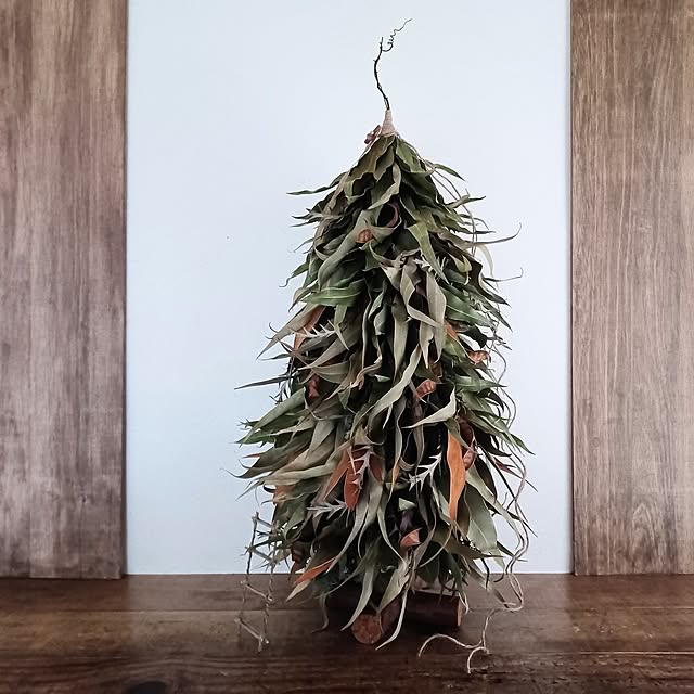 shituraeさんの実例写真