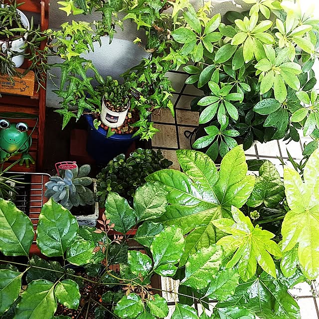 katさんの部屋