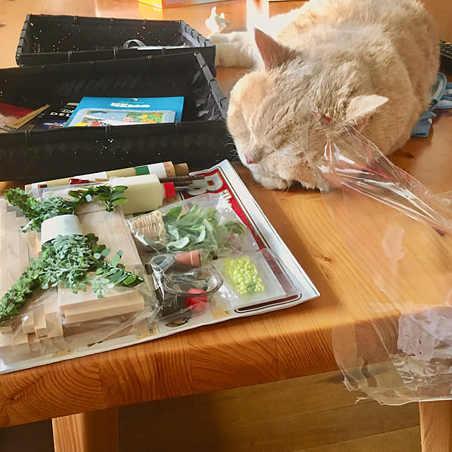 naokoさんの実例写真