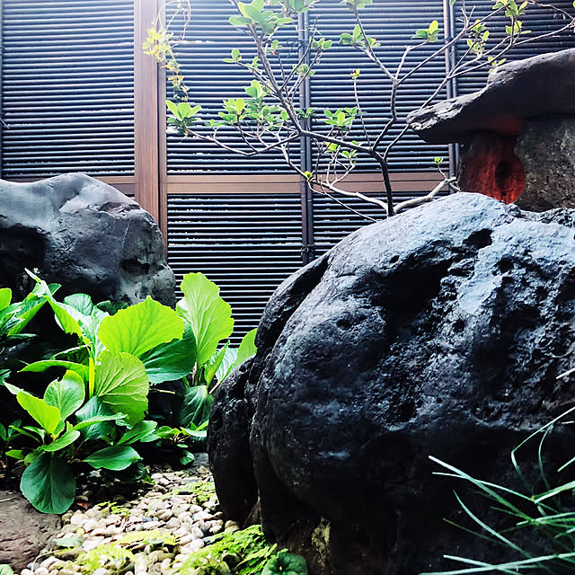 chacoさんの実例写真