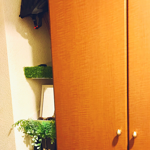 ryomamaさんの実例写真