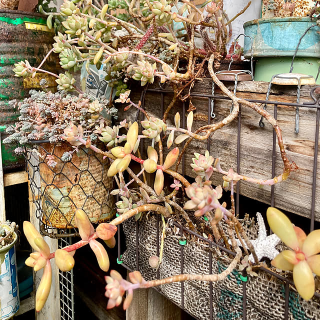 heidiさんの部屋