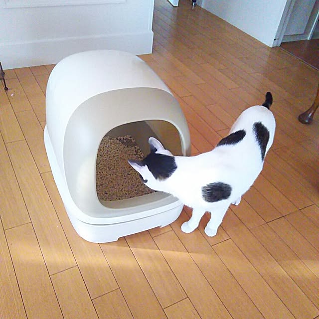 sakuraさんの実例写真