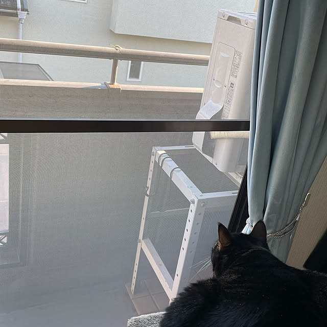 momocchiさんの実例写真