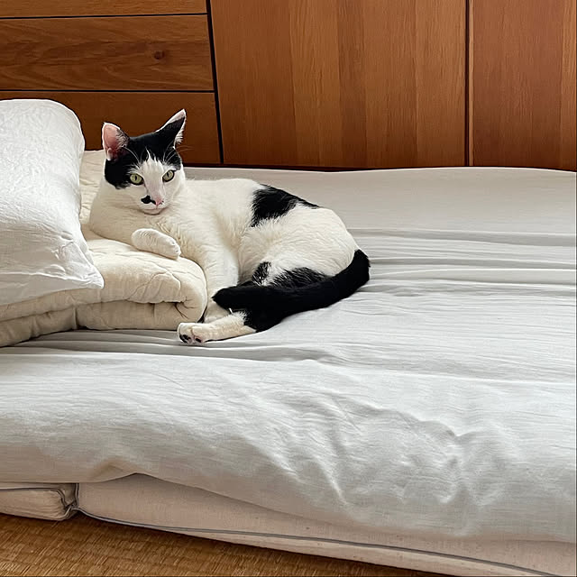 nobikoさんの部屋