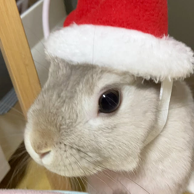 ka2mi2ko4さんの部屋