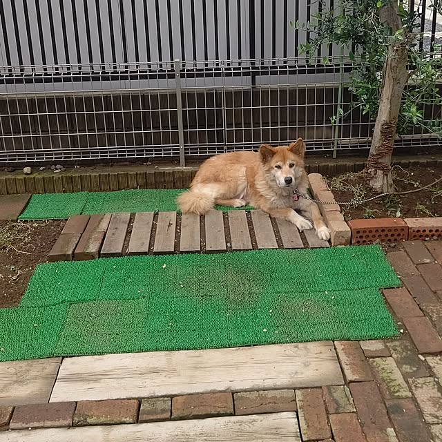 Ri-さんの実例写真