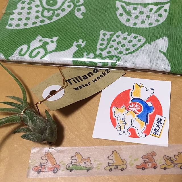 k-grainさんの実例写真