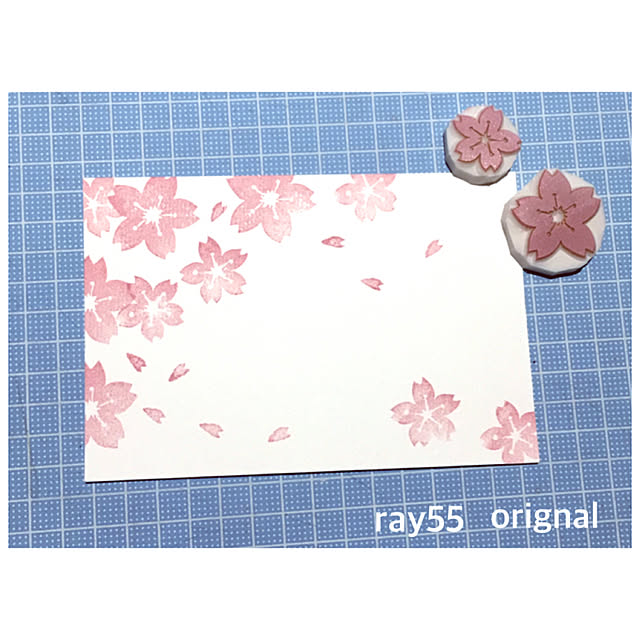 ray55さんの実例写真