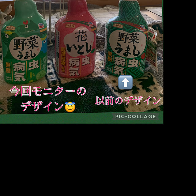 Aqettyさんの部屋