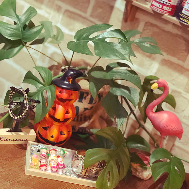 lunamamajunkoさんの実例写真